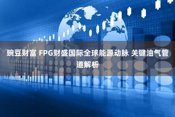 豌豆财富 FPG财盛国际全球能源动脉 关键油气管道解析